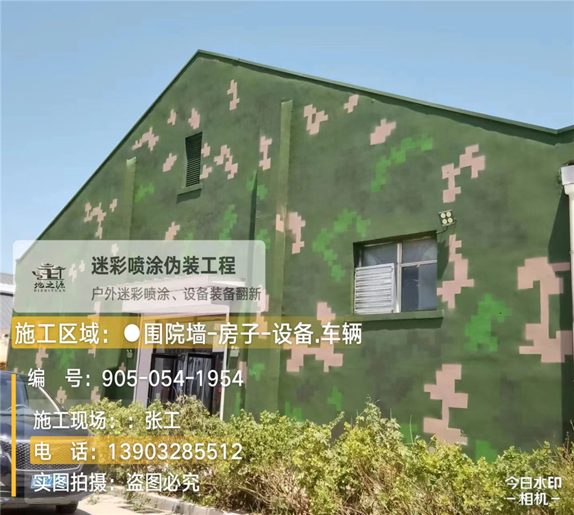 兴安外墙数码迷彩漆施工报价清单(100㎡标准墙面测算)